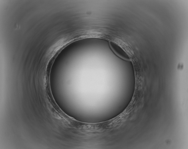 X0000097480338200802291403