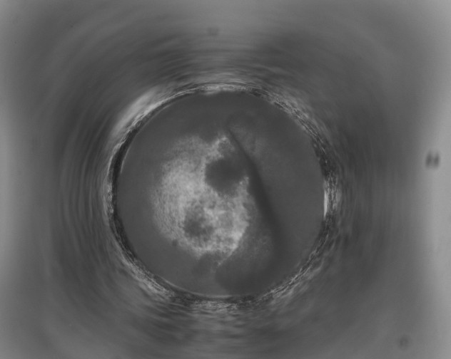 X0000097480339200802291403