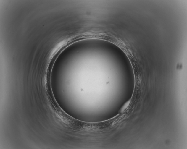 X0000097480340200802291403