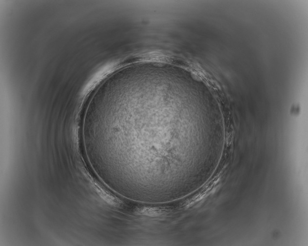 X0000097480341200802291403