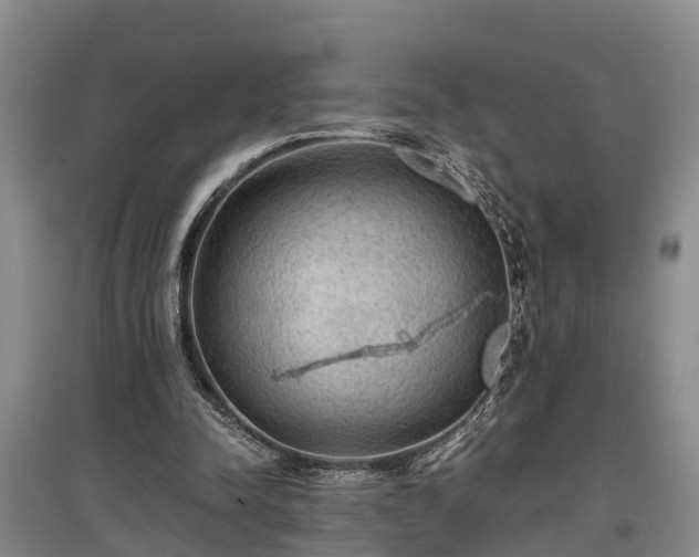 X0000097480342200802291403