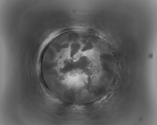 X0000097480343200802291403