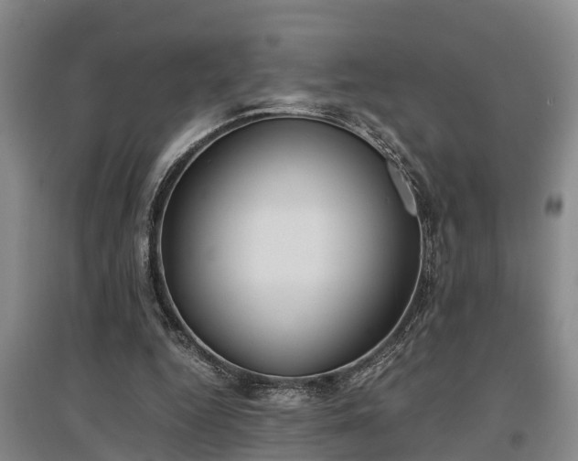 X0000097480344200802291403