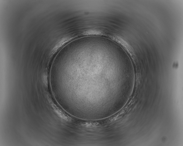 X0000097480345200802291403