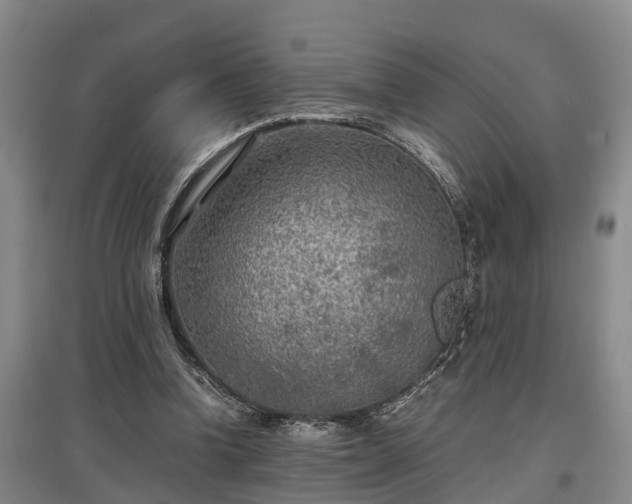 X0000097480346200802291403