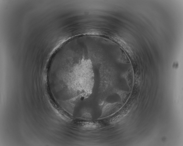 X0000097480347200802291403