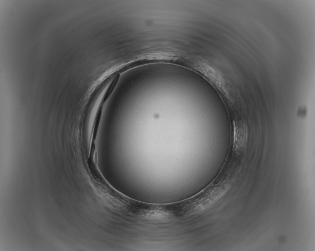 X0000097480348200802291403