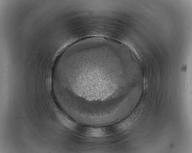 X0000097480349200802291403