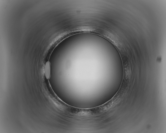 X0000097480350200802291403