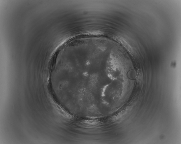 X0000097480351200802291403