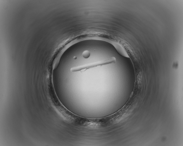 X0000097480352200802291403