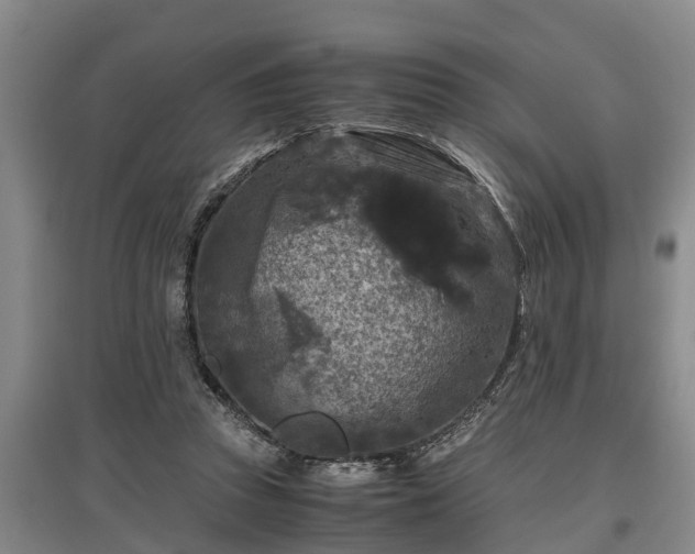 X0000097480353200802291403