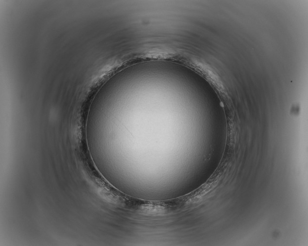 X0000097480354200802291403