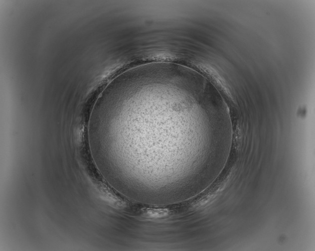 X0000097480355200802291403