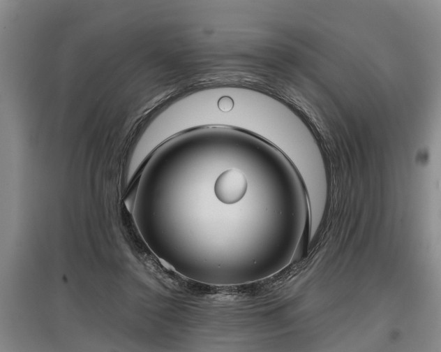 X0000097480356200802291403