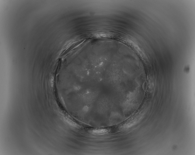 X0000097480357200802291403