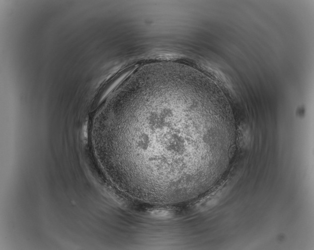 X0000097480358200802291403