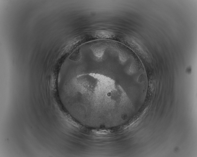 X0000097480359200802291403