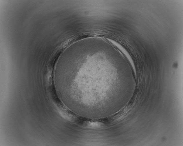 X0000097480360200802291404