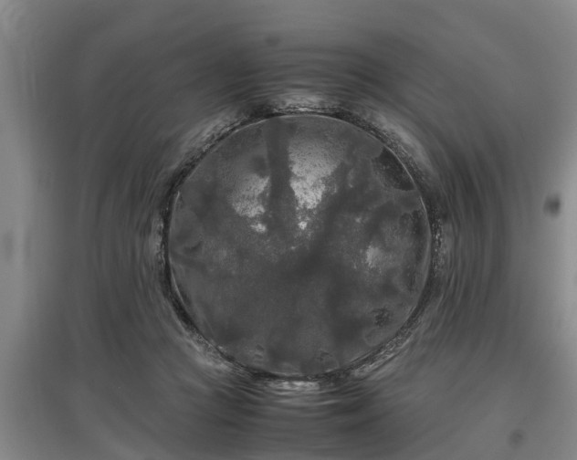 X0000097480361200802291404