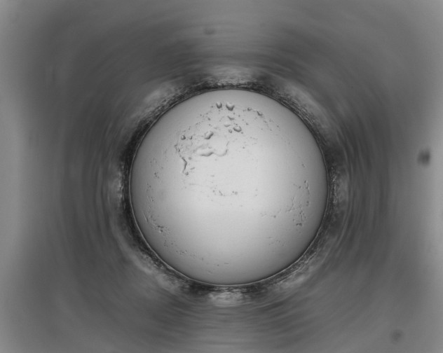 X0000097480362200802291404