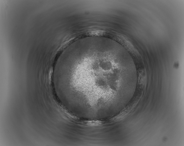 X0000097480363200802291404