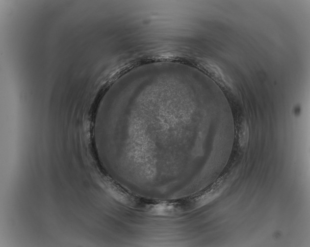 X0000097480366200802291404