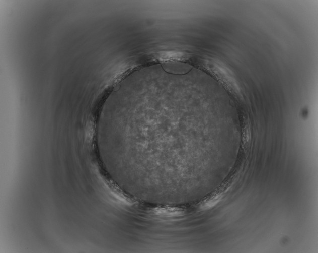 X0000097480367200802291404