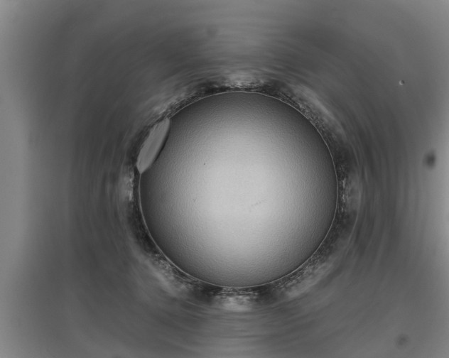 X0000097480368200802291404