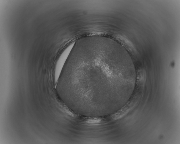 X0000097480369200802291404