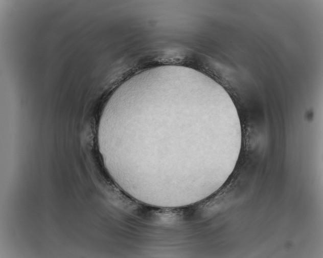 X0000097480370200802291404