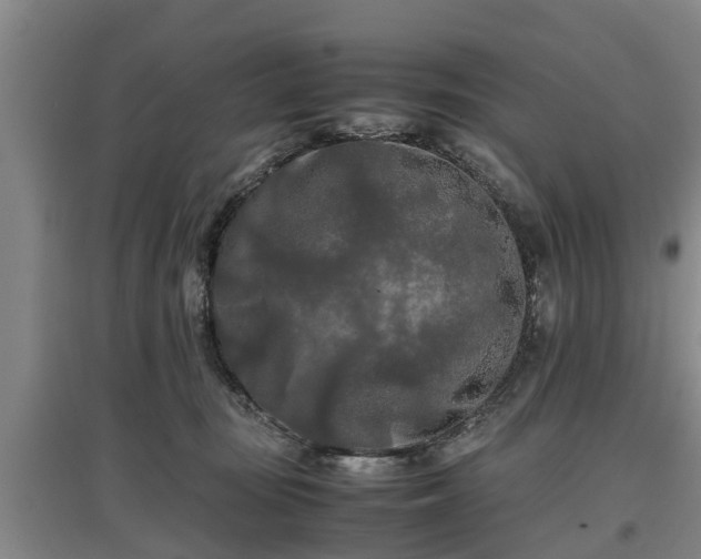 X0000097480371200802291404