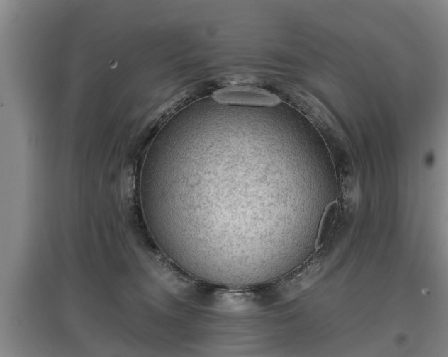 X0000097480372200802291404