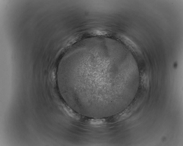 X0000097480373200802291404