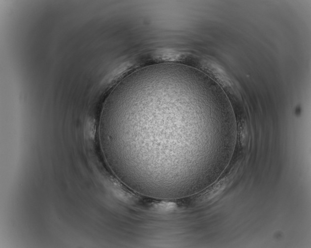 X0000097480374200802291404