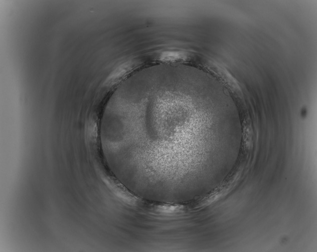 X0000097480375200802291404