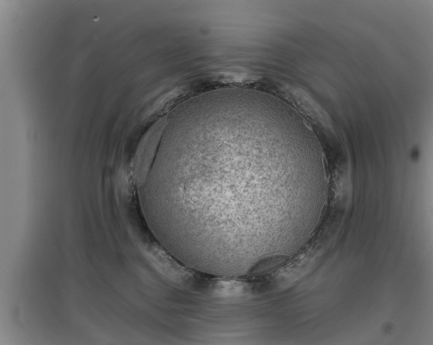 X0000097480376200802291404