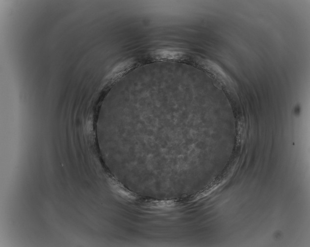 X0000097480377200802291404