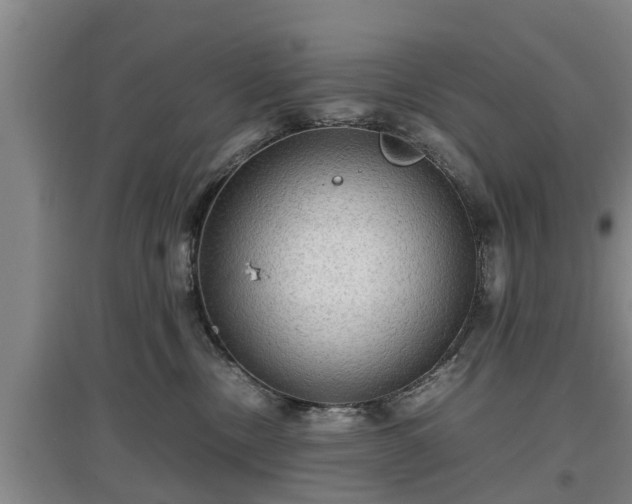 X0000097480378200802291404