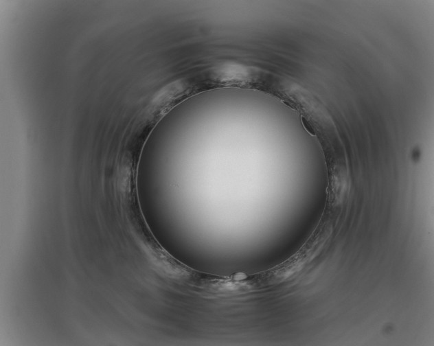 X0000097480379200802291404