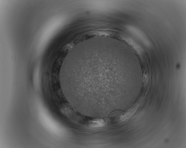 X0000097480381200802291404