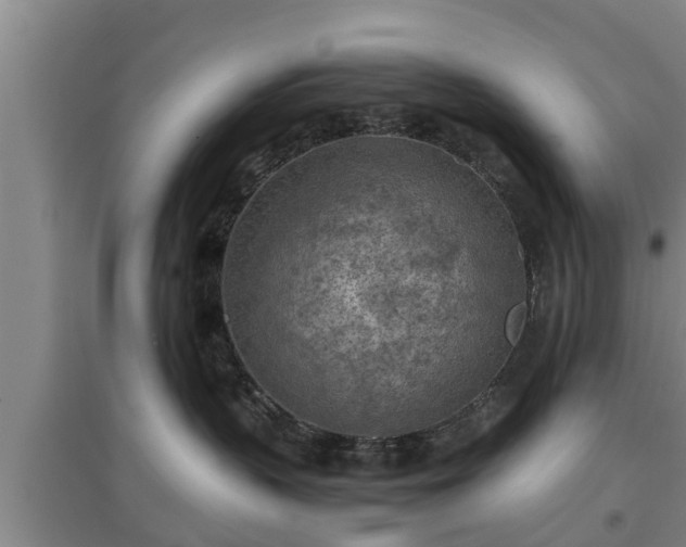 X0000097480383200802291404