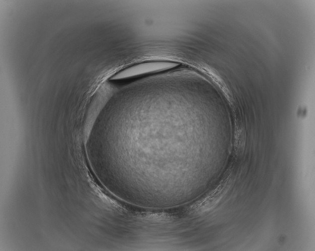 X0000097480385200802291403