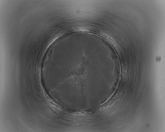 X0000097480386200802291403