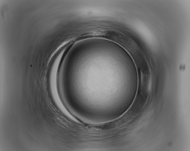 X0000097480387200802291403