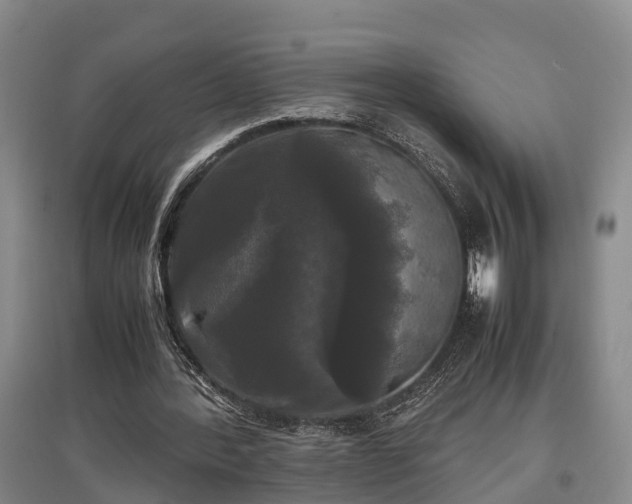 X0000097480388200802291403