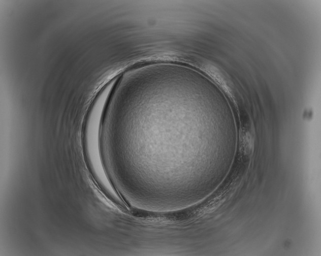 X0000097480389200802291403