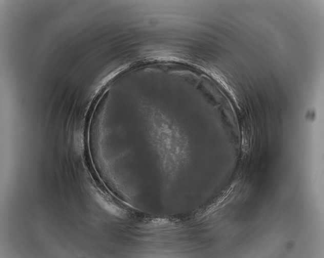 X0000097480390200802291403