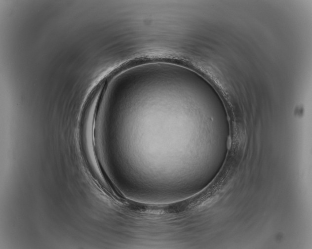 X0000097480391200802291403