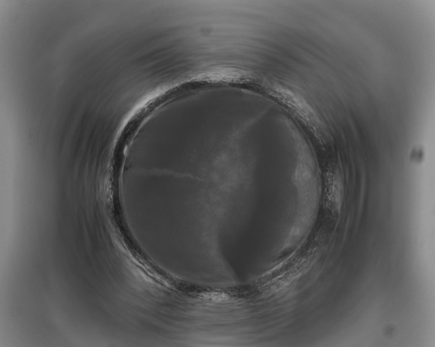 X0000097480392200802291403